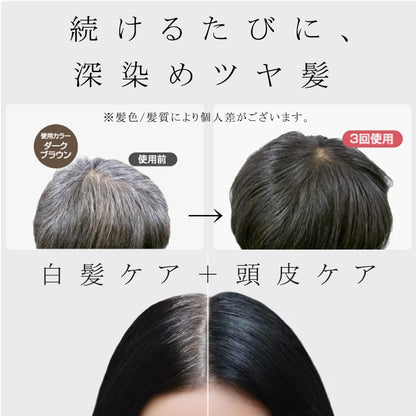 Refine Hair Color Treatment Set with Head Spa 300g Dark Brown