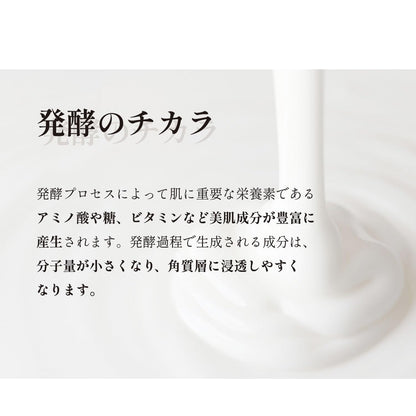 Aloe Maid Fermented Gel AY All-in-One 100g with Aloe Yogurt Scent