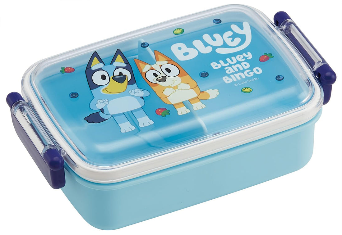 Skater Kids Lunch Box Dome Shape 450ml Blue