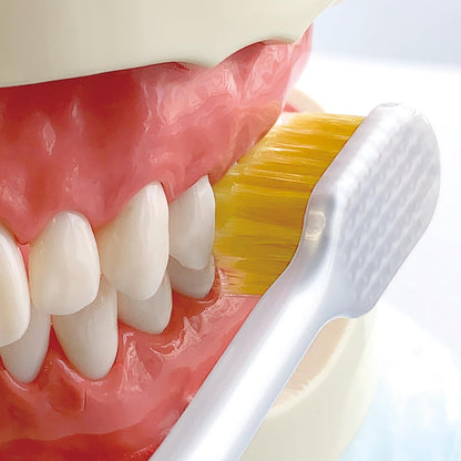 Ebisu Premium Care Toothbrush Regular Soft 6 Rows