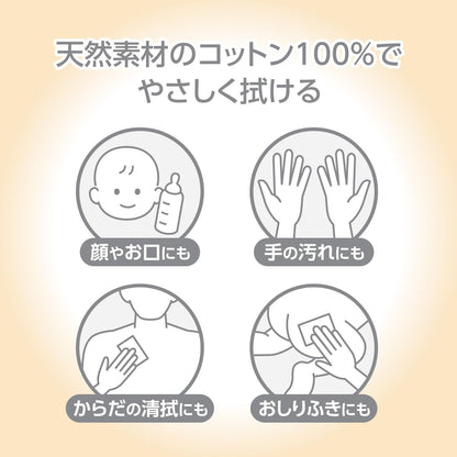 Hakujuuji Cleansing Wipes 100 Count Made in Japan