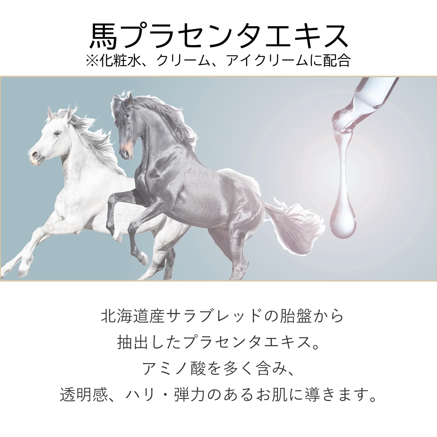 MOMOTANI Rich Moisture Horse Oil Eye Cream 15g for Japanese Skincare