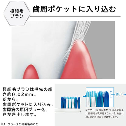 Panasonic Replacement Brush for Doltz Compact Design 2-Pack