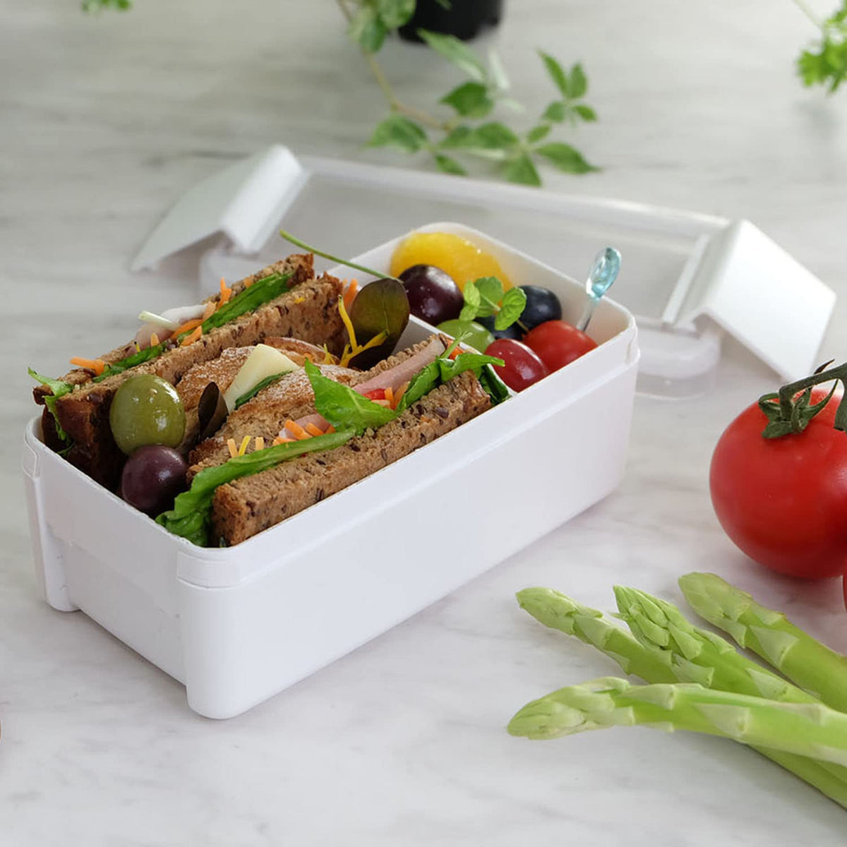 Lustroware Bento Box 520ml Easy Care Microwave and Dishwasher Safe White