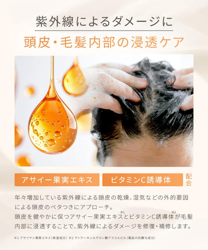 CLAYGE Shampoo and Treatment Set 500ml with Pear and White Musk Scent