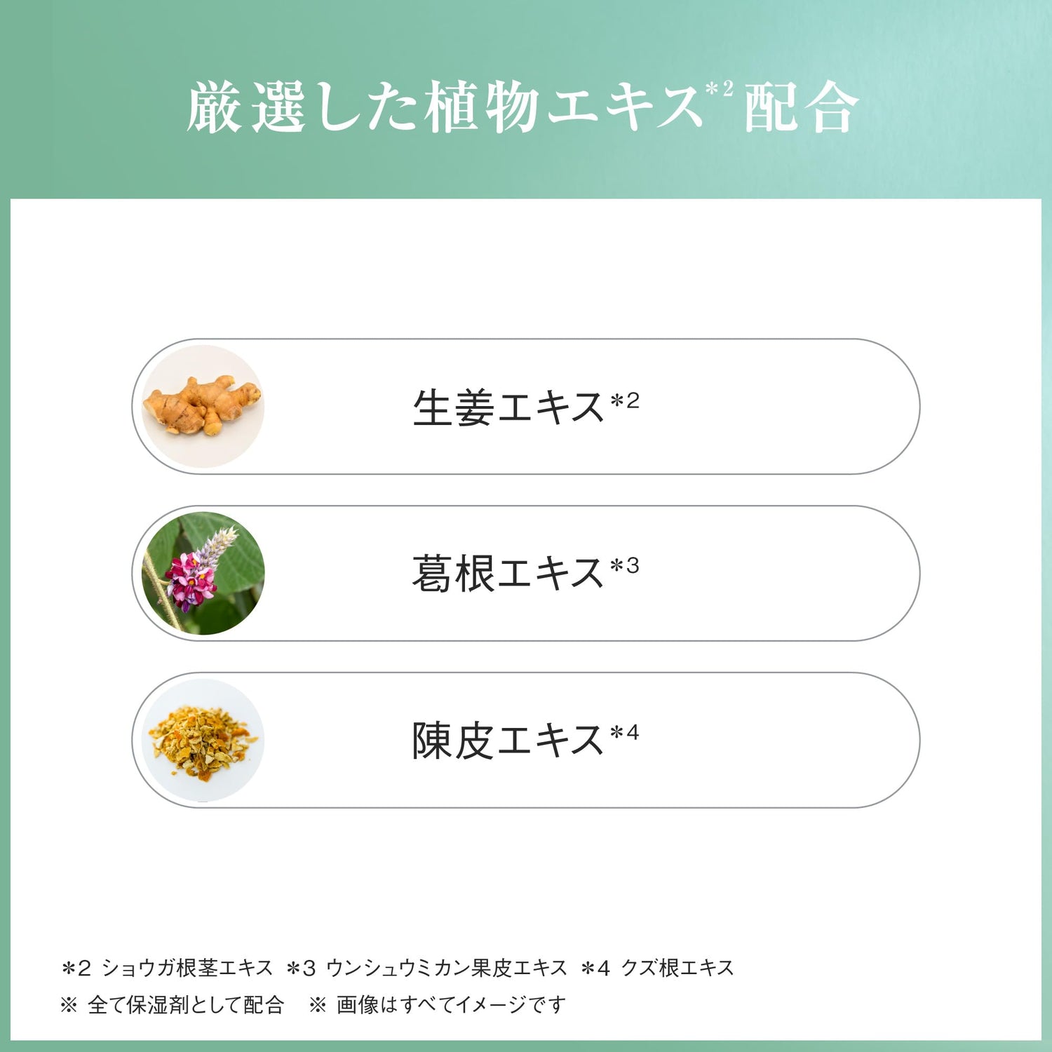 AYURA Ginger Herbal Bath Powder 40g for Relaxing Soak