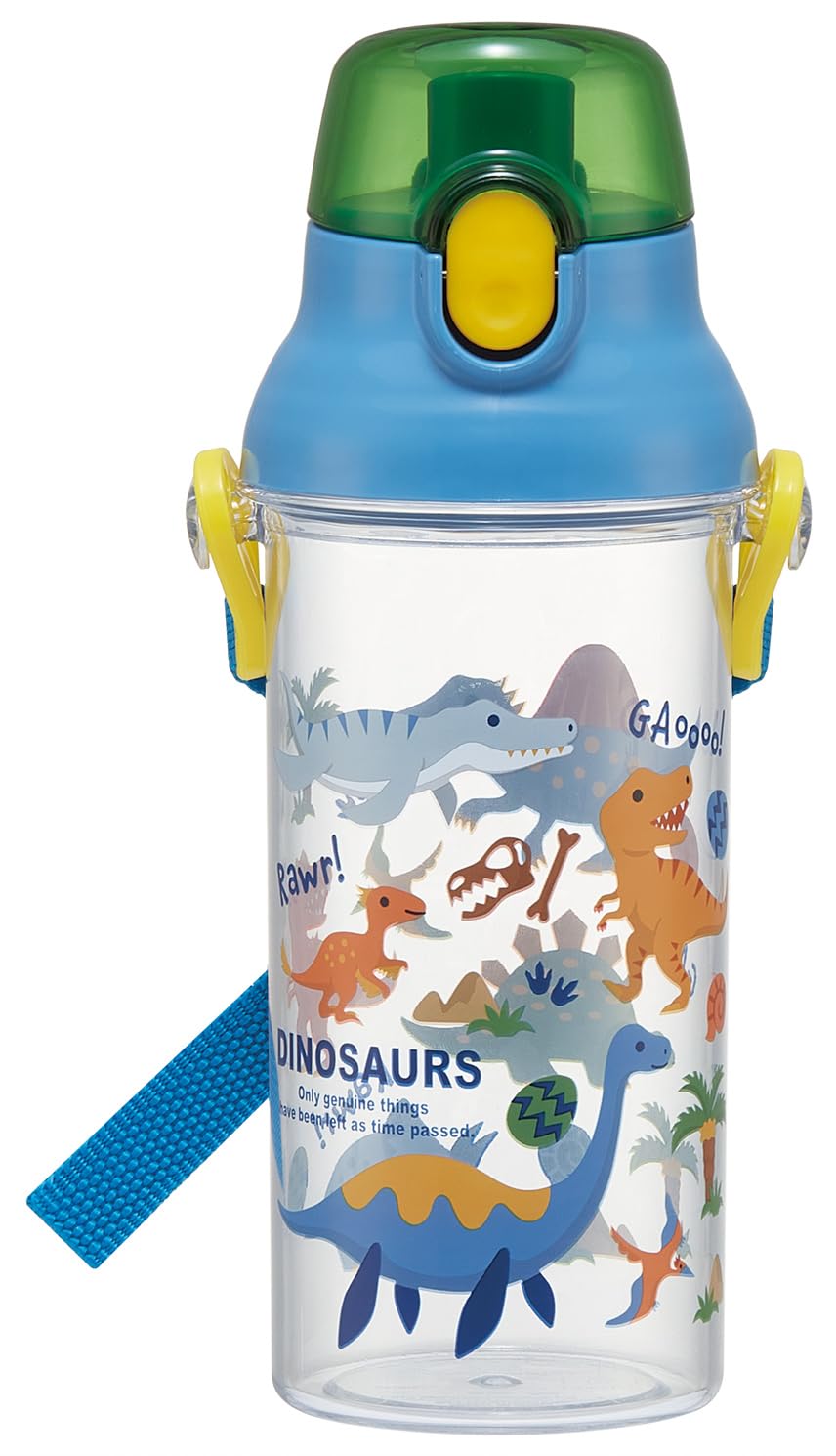 Skater Kids Clear Water Bottle 480ml with Dinosaur Design