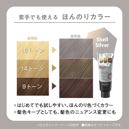 Anna Donna Every Color Treatment Shell Silver 160g