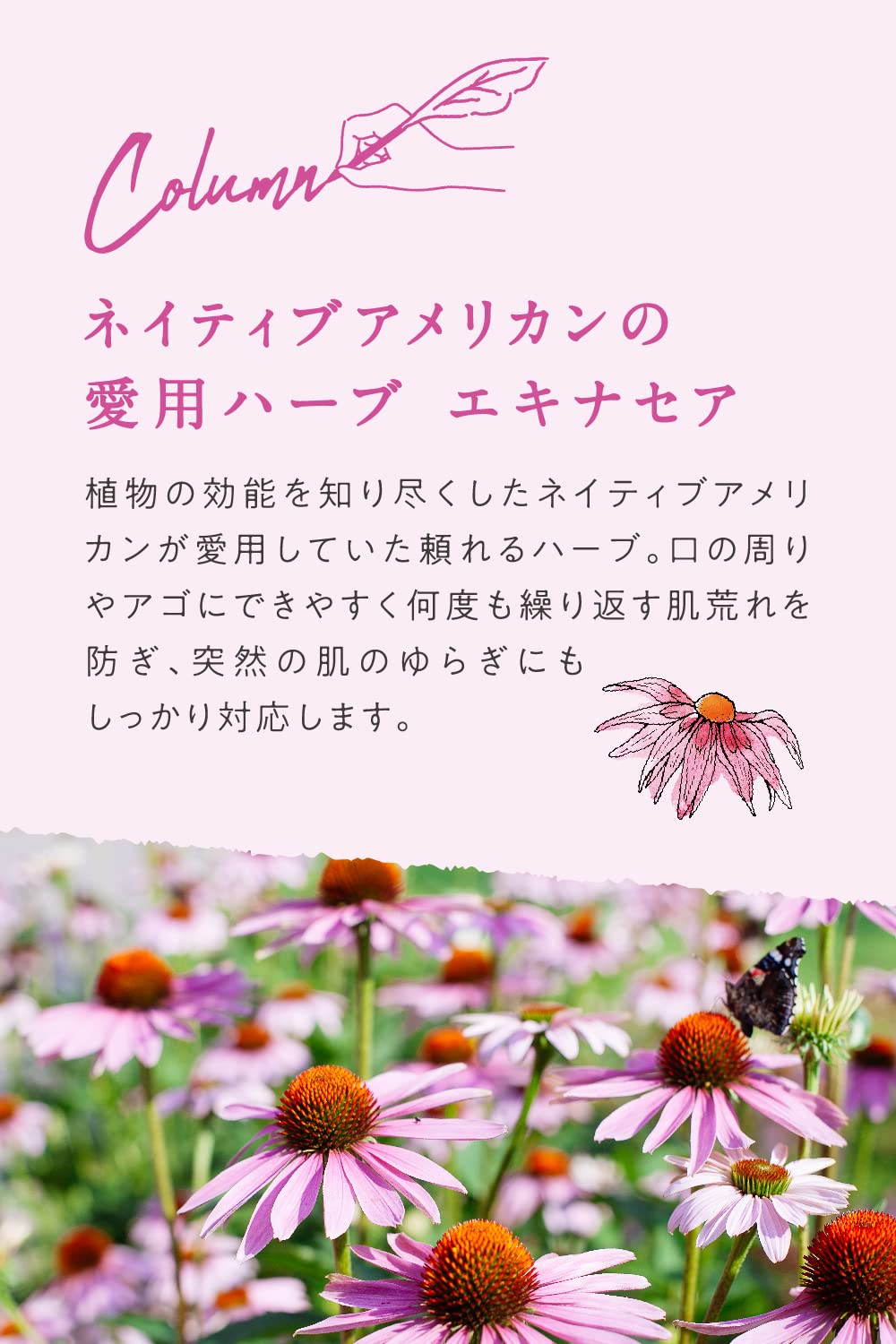 ARGITAL Intensive Echinacea Cream Mini 10ml for Hydration