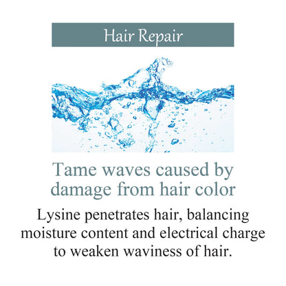 Hoyu Promaster Color Care Shampoo Calm 600ml