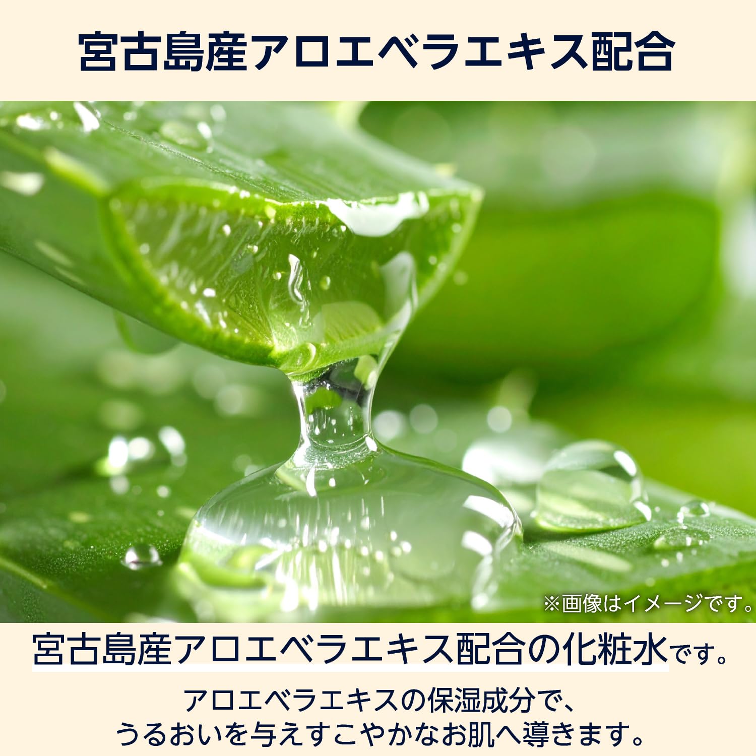 by Amazon Aloe Moisturizing Lotion 1000ml Hydrating Japanese Skincare