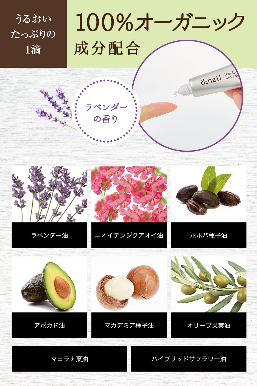 And Nail Nail Bed Oil Hypo-Nychium Moisturizing Oil 10mL