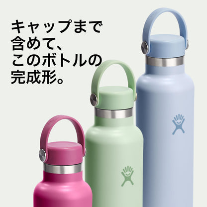 Hydro Flask Standard Mouth 21oz Water Bottle in Harbor Blue