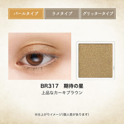 MAJOLICA MAJORCA Majoscope Shadow BR317 1g for Radiant Eyes