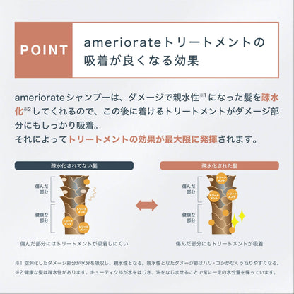 AMERIORATE Shampoo and Conditioner Set 500ml for Frizz Control