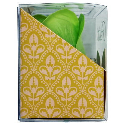 Q-FLA Bath Soak Soap Flower Set of 6 Green Rose Gift