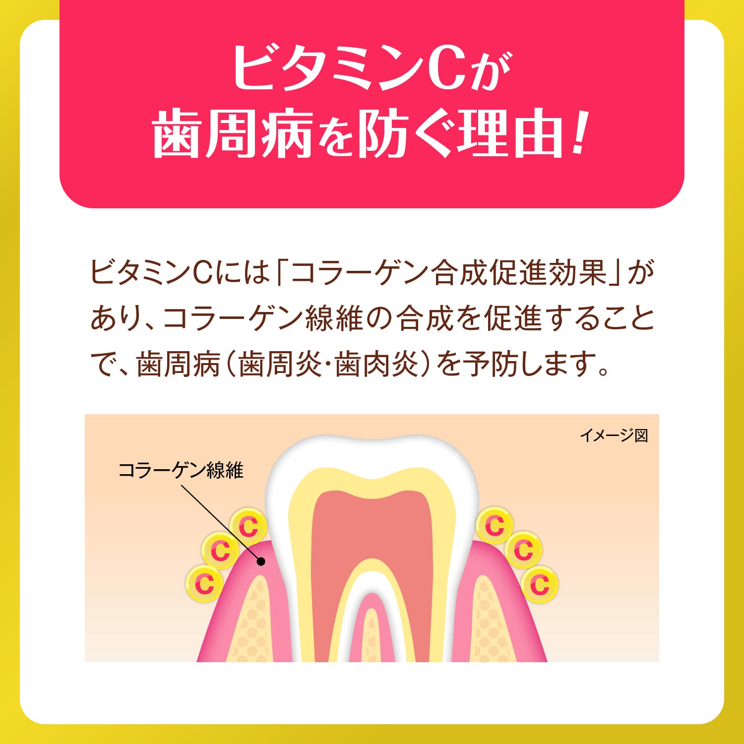 Dentwell Oral Care Gel with CPC 100g for Healthy Gums