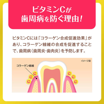 Dentwell Oral Care Gel with CPC 100g for Healthy Gums