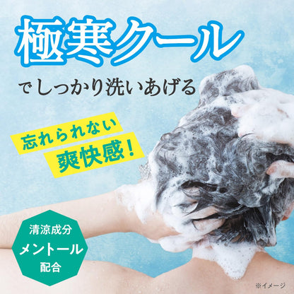 Beauwell Cool Shampoo Set with Refreshing Ice Lemon Mint Scent
