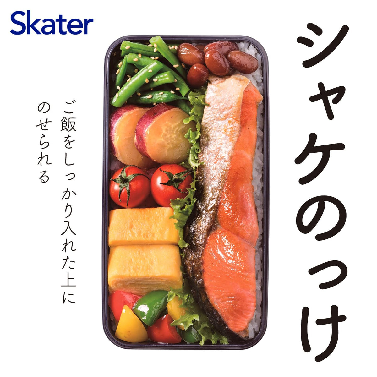 Skater Dome Lid Bento Box 870ml Large Capacity Lunch Box for Men