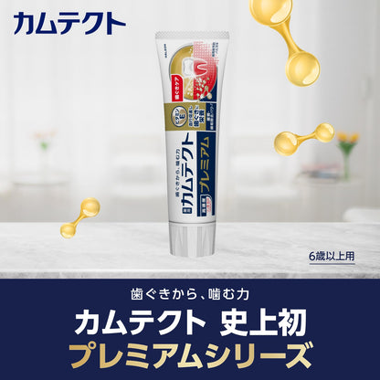 Kamtect Premium Gum Care Toothpaste with Toothbrush 105g