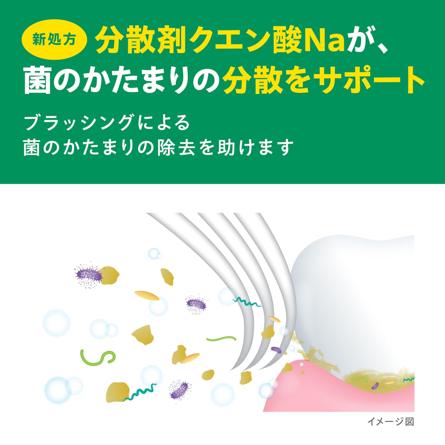 GUM Dental Paste 155g for Daily Oral Care