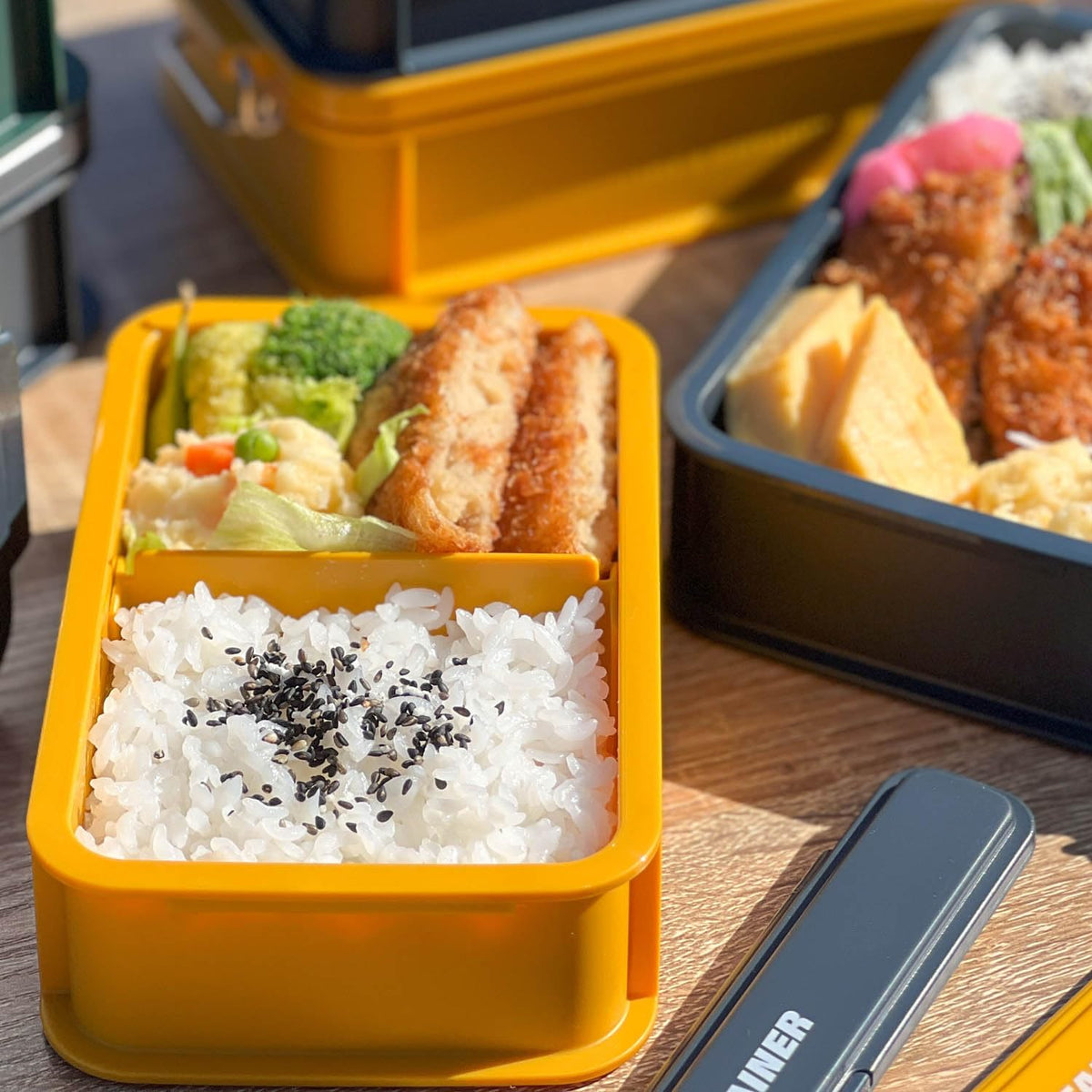 OSK Container Lunch Box with Dividers 600ml for Stylish Meals