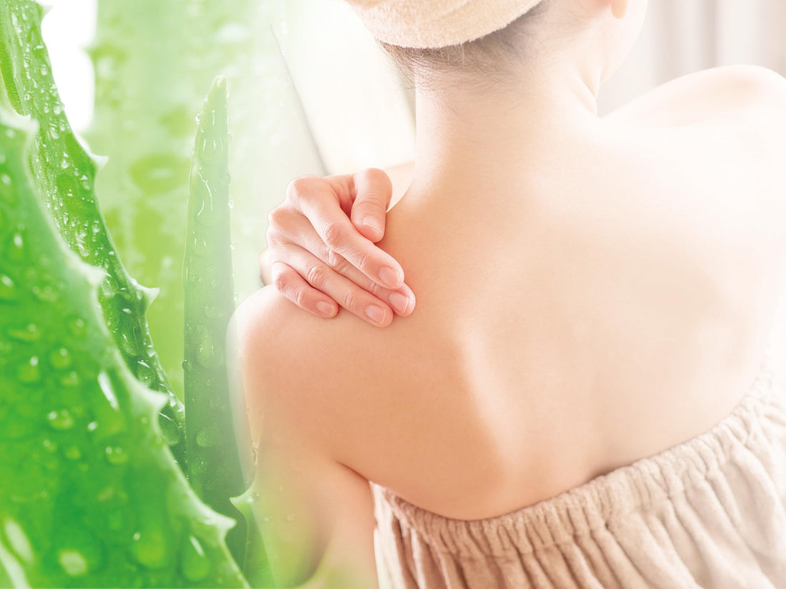 TO-PLAN Aloe Vera Moisturizing Lotion 500ml for Hydration