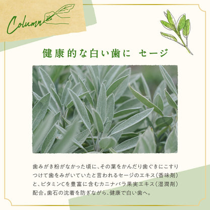 ARGITAL Green Clay Toothpaste with Sage 75ml for Natural Oral Care