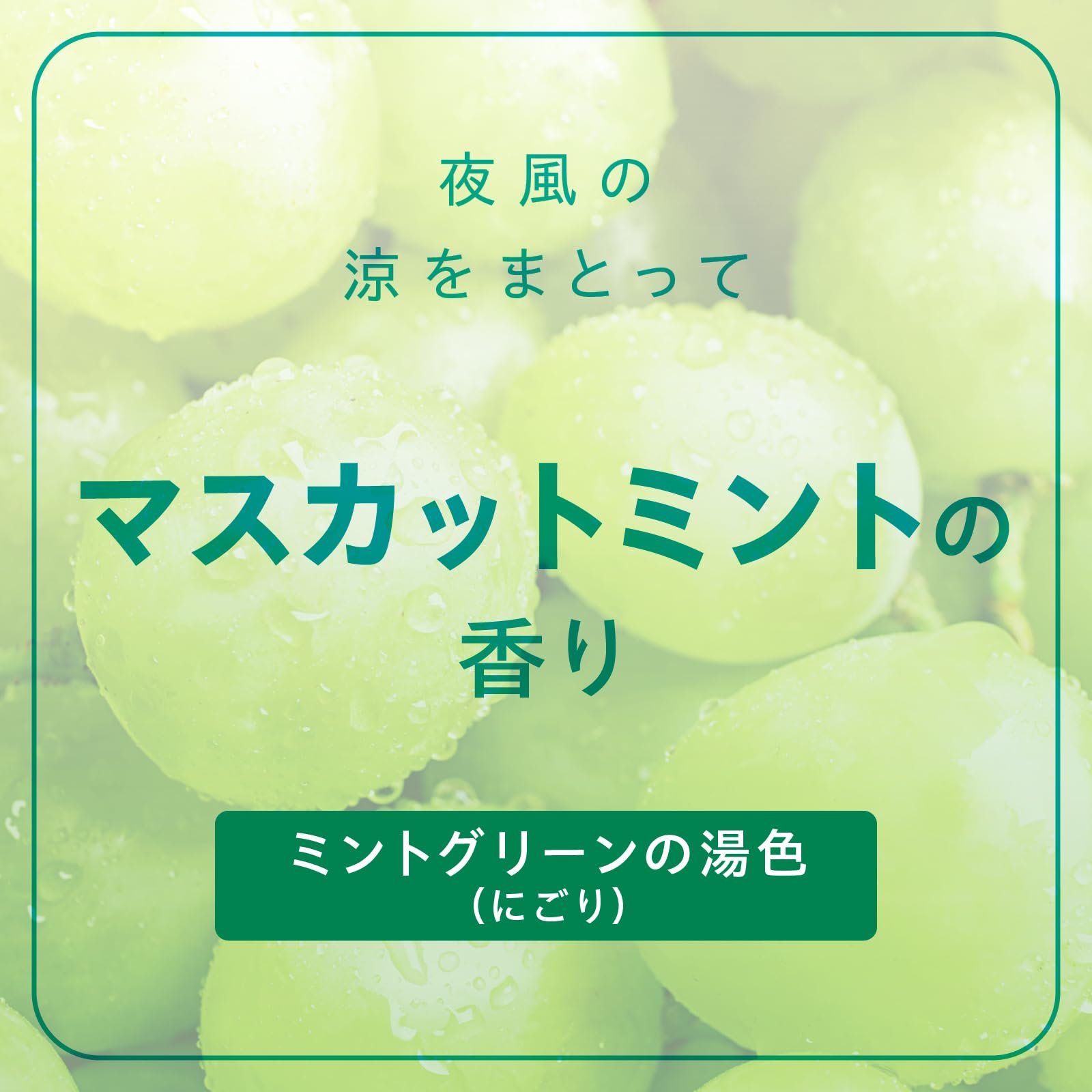 OFFROM Slow Release Tablets High Concentration Bath Additive Muscat Mint Scent 4 Tablets