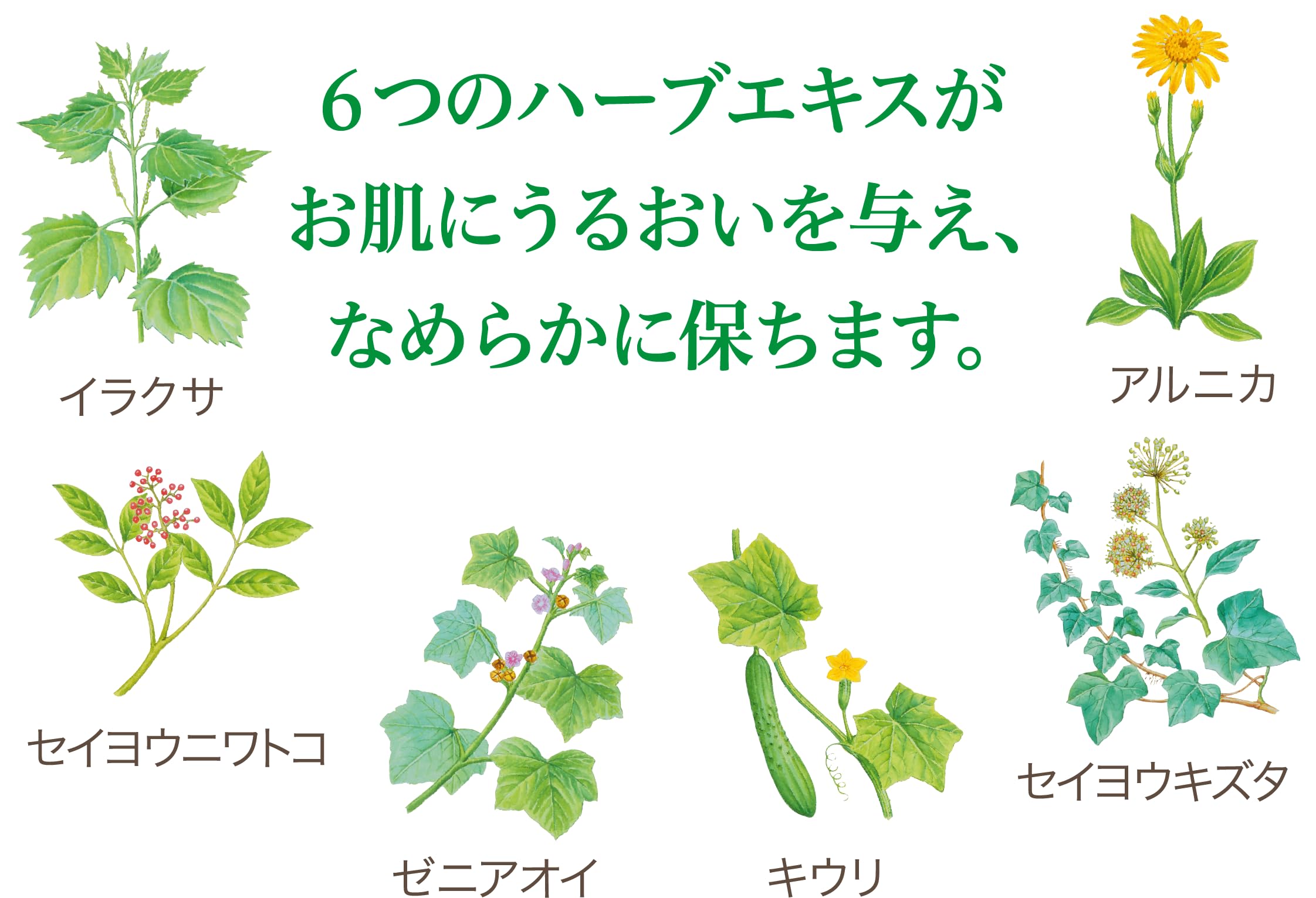 Yutaka Pharmaceutical Abiant K Moisturizing Cream 300g