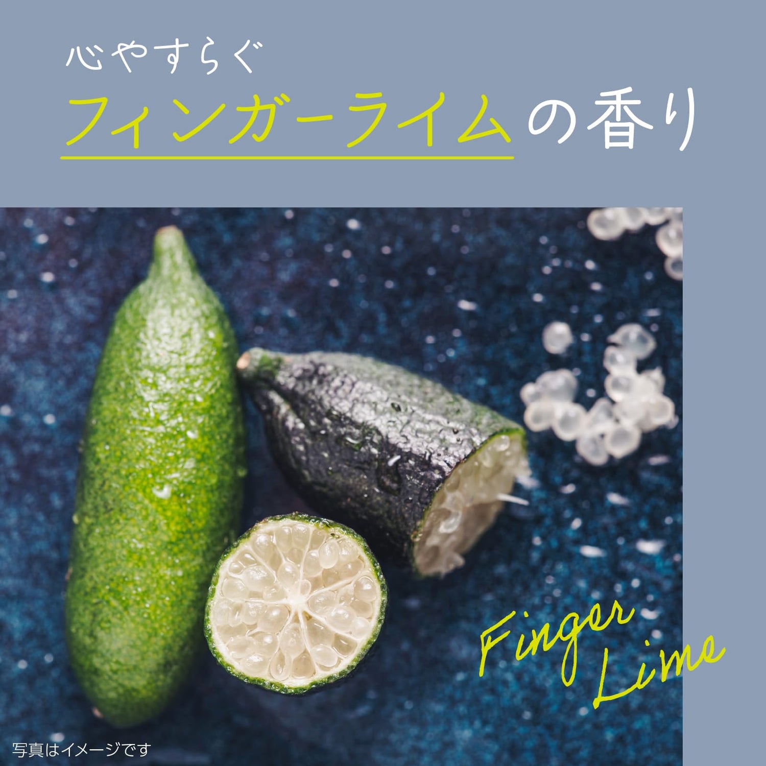 Selune Bath Salt with Finger Lime Scent 500g for Relaxation