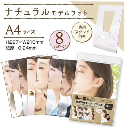 Sasagawa Original Works Natural Model Display Kit for Earrings
