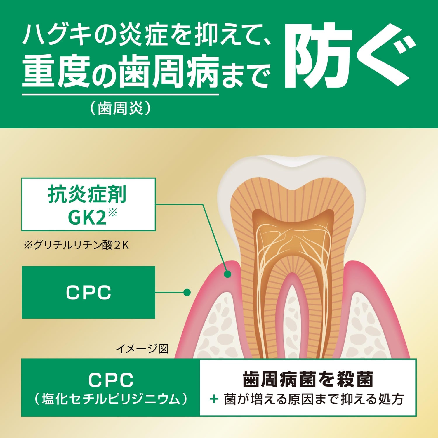 GUM Premium Dental Paste Mild Herb 90g for Daily Oral Care