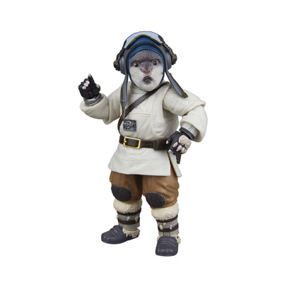 Hasbro Star Wars Black Series 6 Inch Action Figure - Acolyte of the Jedi Order