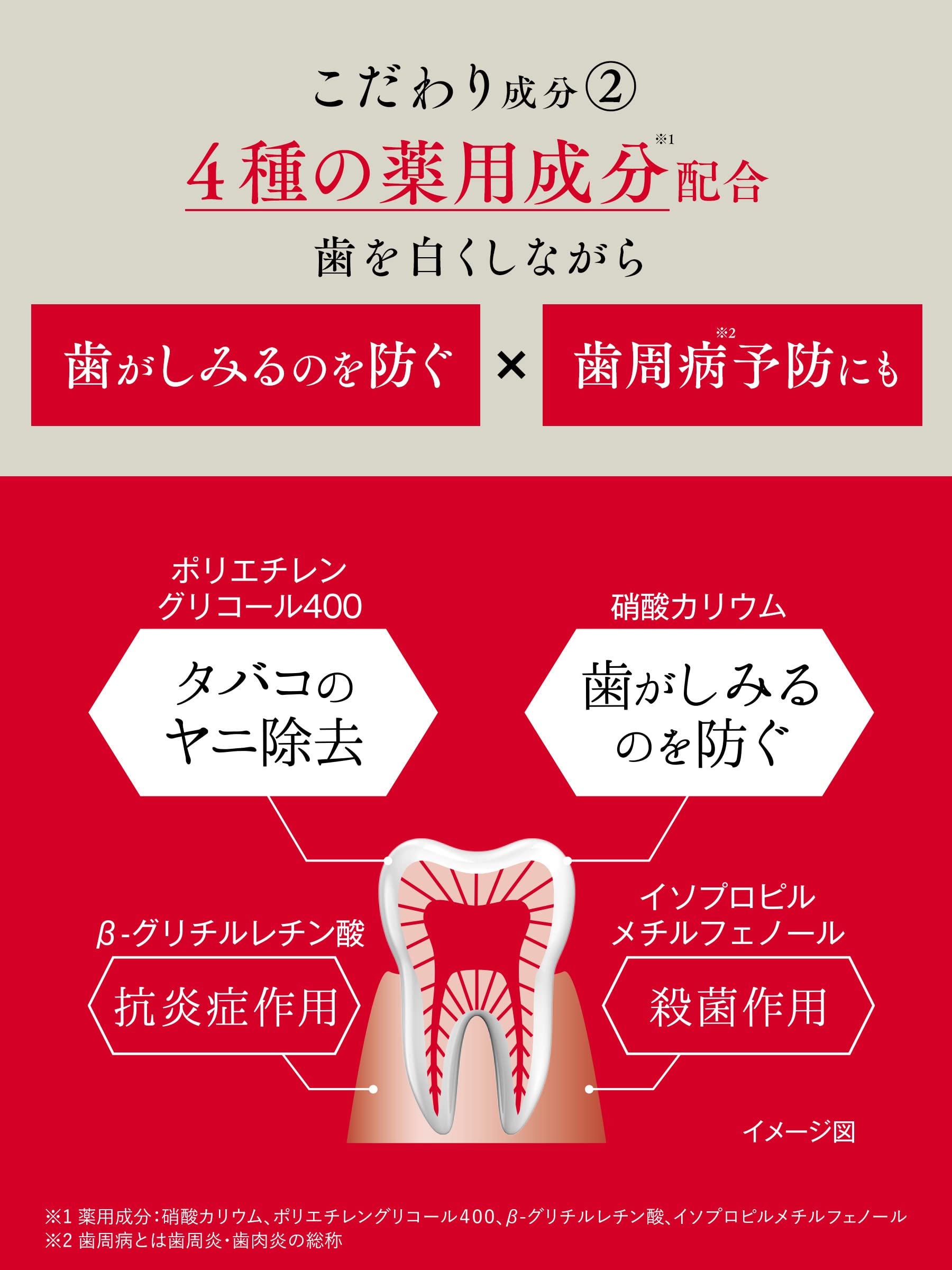 Hamigakidou Whitening Toothpaste Premium Fresh Mint 60g