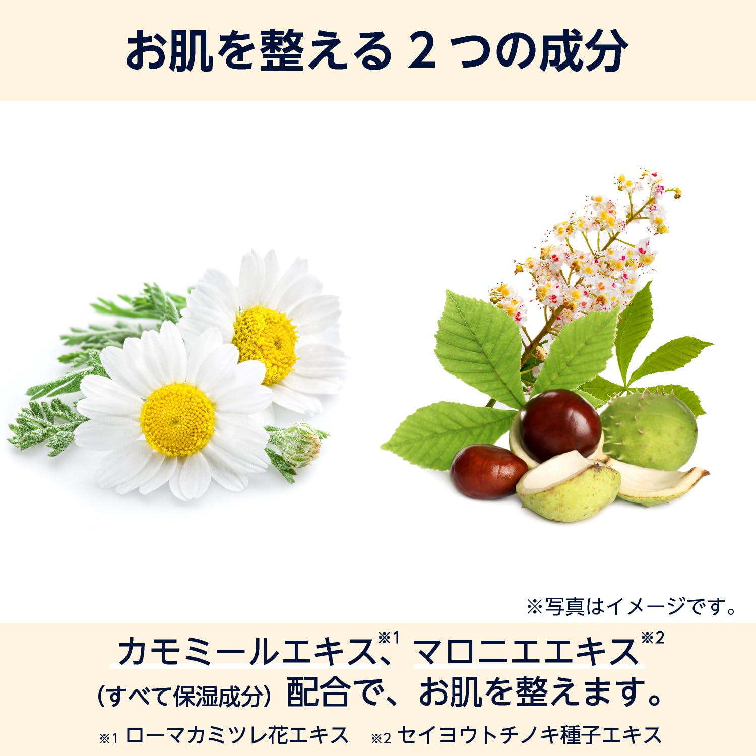 by Amazon Aloe Moisturizing Lotion 1000ml Hydrating Japanese Skincare