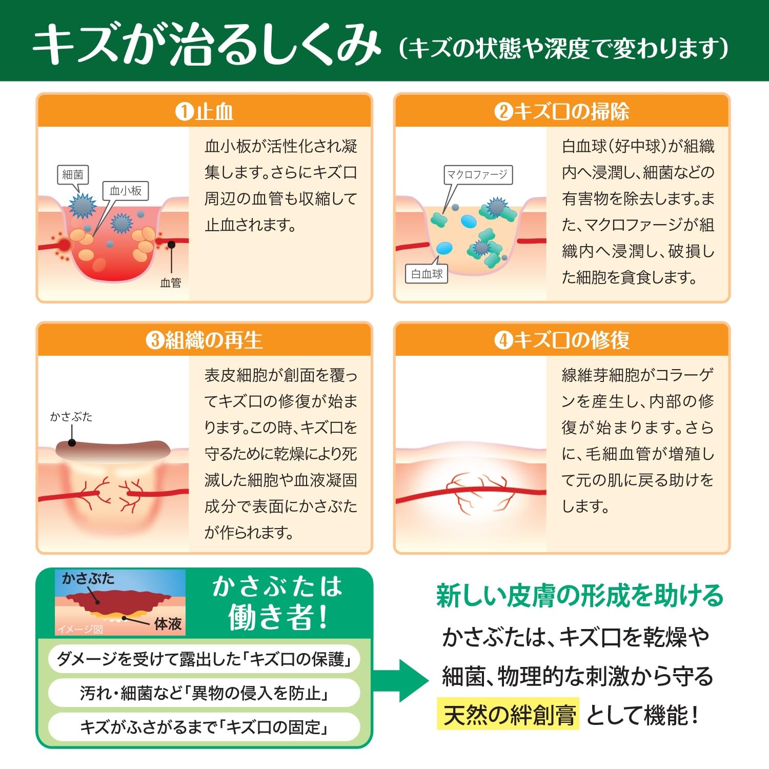 Hakujuuji Hydrocolloid Moist helping address the appearance of Pad Large 3 Count Waterproof Bandages