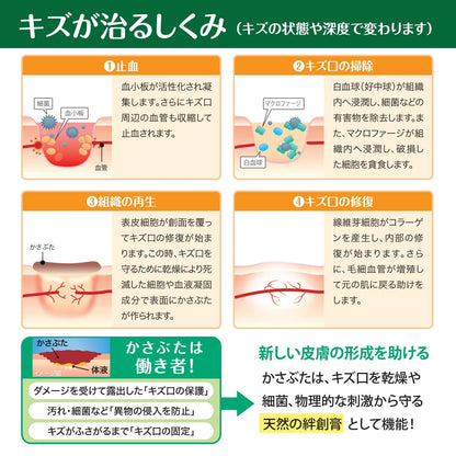 Hakujuuji Hydrocolloid Moist helping address the appearance of Pad Large 3 Count Waterproof Bandages