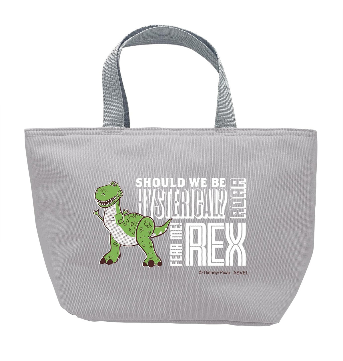 Asvel Lunch Bag with Insulation for School Use
