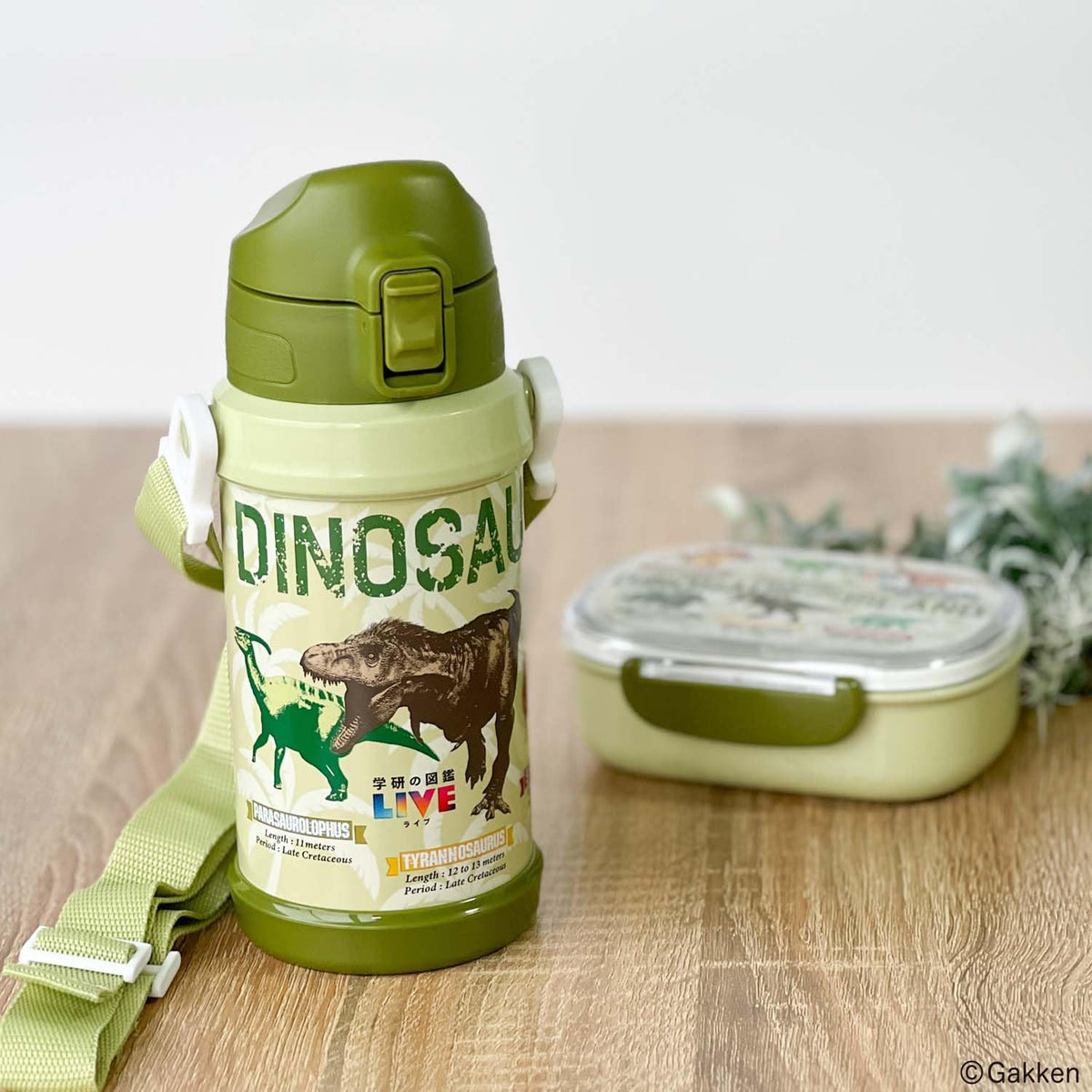 OSK Direct Stainless Bottle for Kids with Dinosaur Design 600ml