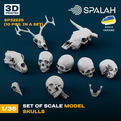 Spalah 1/35 Skull Set of 10 for Scale Models and Collectibles