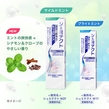 Schmitect Future White Care Whitening Toothpaste with Fluoride 145g