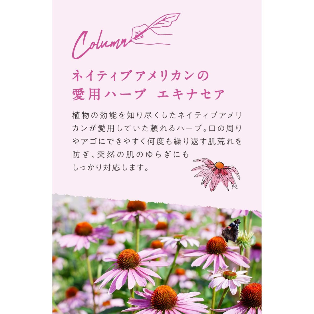 ARGITAL Intensive Echinacea Cream 75ml for Hydration and Comfort