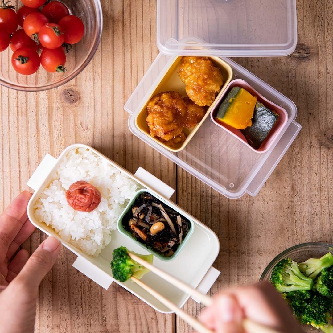 Skater Freezer Storage Containers for Meal Prep and Bento Boxes