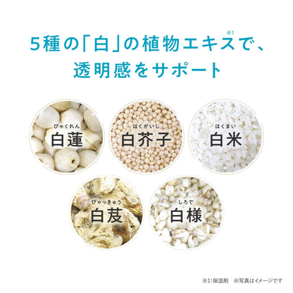 Hifumi Brightening Lotion 120ml Japanese Skincare with Ceramides