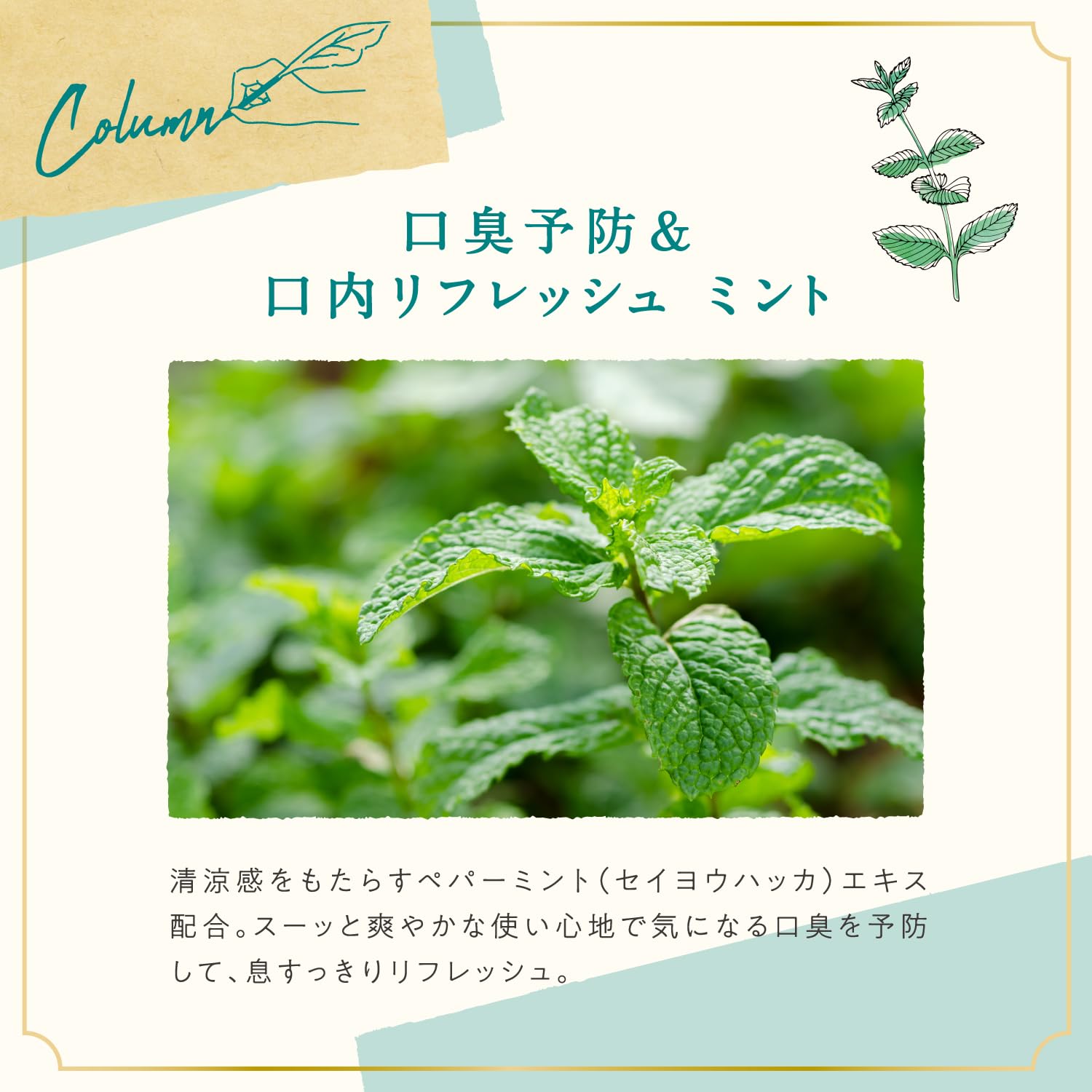 ARGITAL Green Clay Toothpaste Mint 75ml for Natural Oral Care