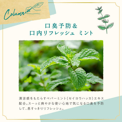ARGITAL Green Clay Toothpaste Mint 75ml for Natural Oral Care