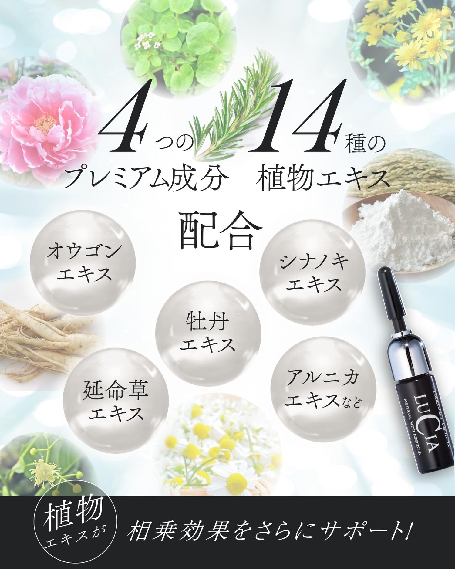 LUCIA Novel Moi Mini Essence Hair Treatment 30ml