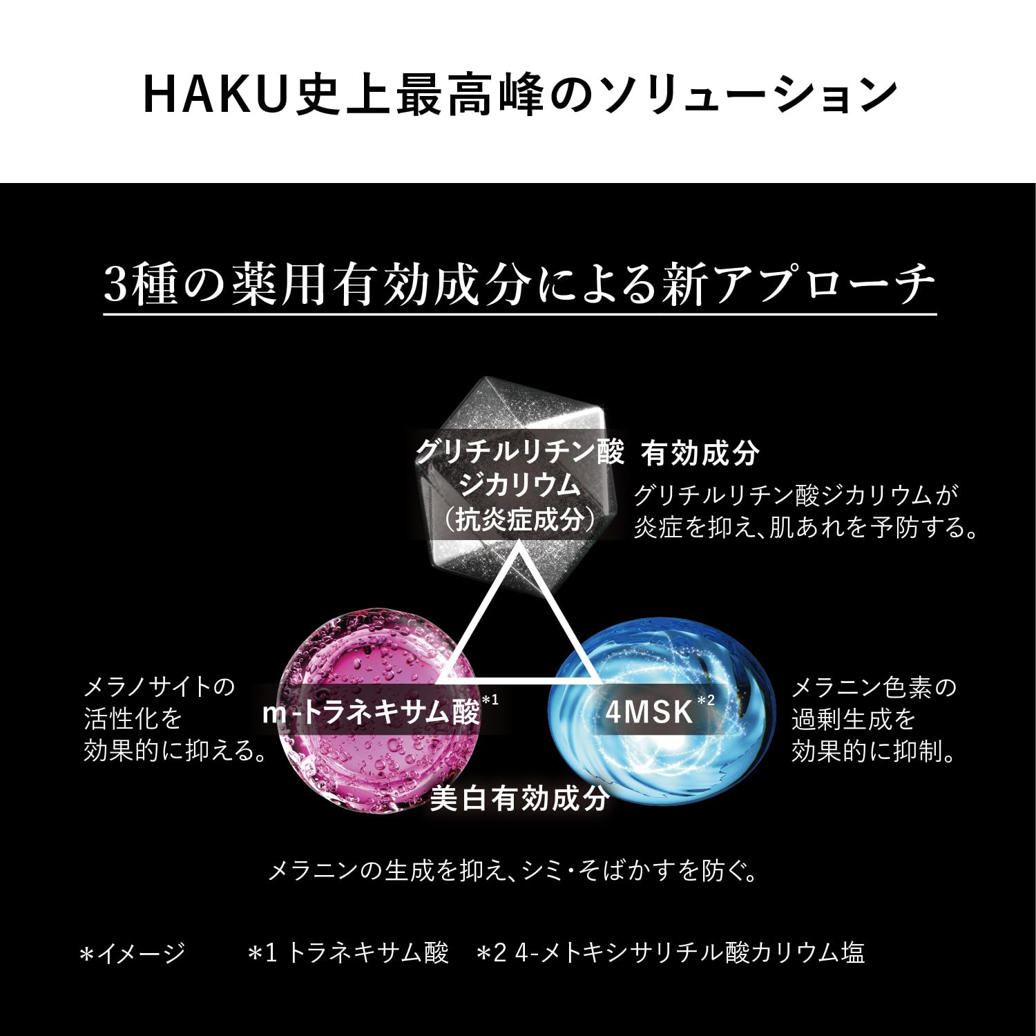 HAKU Brightening Serum Set with Foundation 45g+10g+4x0.2g
